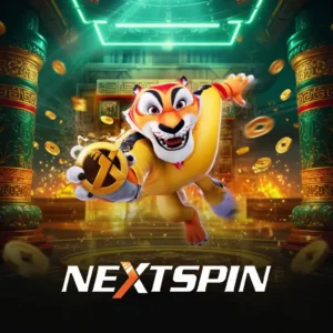 สล็อต nextspin